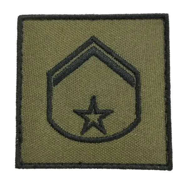 INSÍGNIA GRADUAÇÃO ALUNO CURSO DE FORMAÇÃO DE SARGENTOS 1º ANO (CFS)