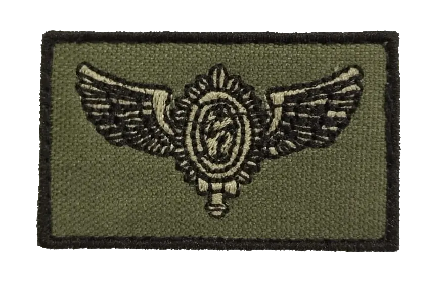 INSÍGNIA ARMAS AVIAÇÃO