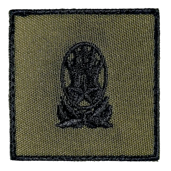 INSÍGNIA GRADUAÇÃO ESCOLA PREPARATÓRIA DE CADETES DO EXÉRCITO (ESPCEX)