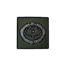 INSÍGNIA BORDADA CURSO FUNÇÃO DE ADJUNTO DE COMANDO (USO DURANTE O EXERCÍCIO DA FUNÇÃO)